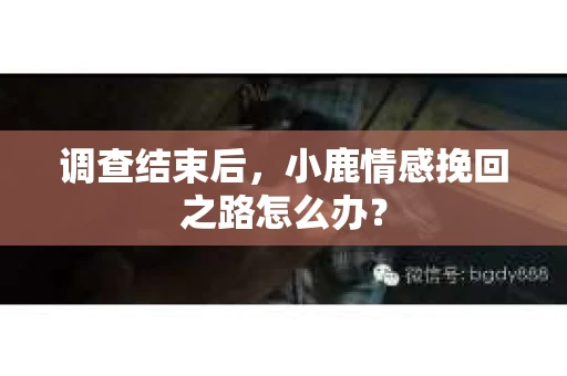 调查结束后，小鹿情感挽回之路怎么办？