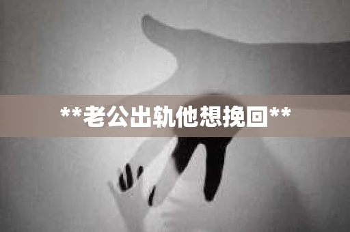 **老公出轨他想挽回**