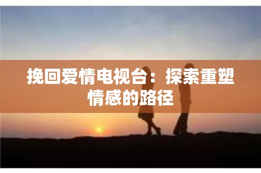 挽回爱情电视台：探索重塑情感的路径