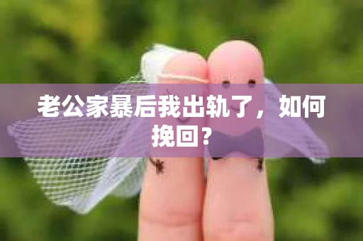 老公家暴后我出轨了，如何挽回？