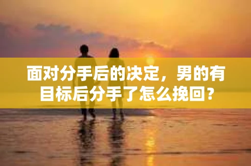 面对分手后的决定，男的有目标后分手了怎么挽回？