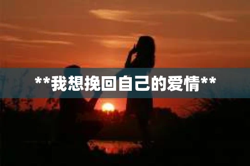 **我想挽回自己的爱情**