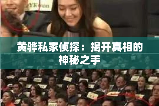 黄骅私家侦探：揭开真相的神秘之手