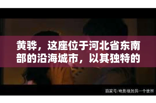 黄骅，这座位于河北省东南部的沿海城市，以其独特的地理位置和丰富的历史文化而闻名。然而，在这座城市中，还有一群人，他们以另一种方式默默守护着社会的公平与正义——私家侦探。今天，我们就来聊聊黄骅的私家侦探，看看他们是如何在这个城市中发挥作用的。