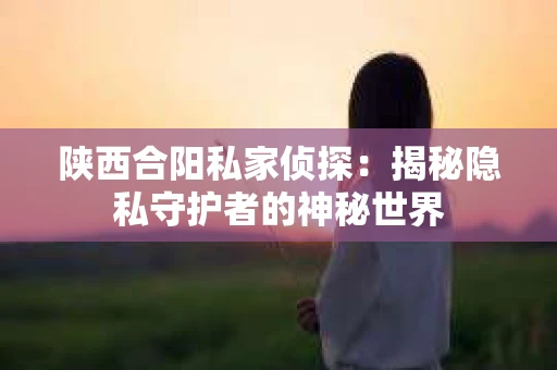 陕西合阳私家侦探：揭秘隐私守护者的神秘世界
