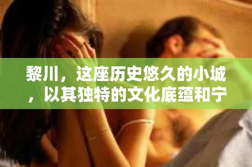 黎川，这座历史悠久的小城，以其独特的文化底蕴和宁静的生活节奏吸引着无数游客。然而，在这样一个看似平静的城市里，你是否会好奇，有没有私家侦探机构的存在呢？今天，就让我带你一探究竟。