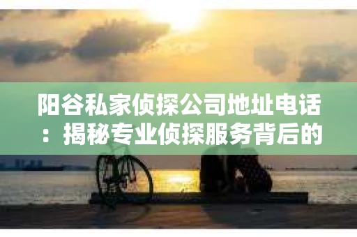 阳谷私家侦探公司地址电话：揭秘专业侦探服务背后的故事
