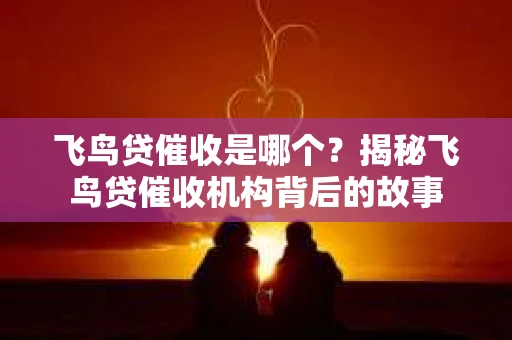 飞鸟贷催收是哪个？揭秘飞鸟贷催收机构背后的故事