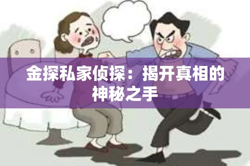 金探私家侦探：揭开真相的神秘之手