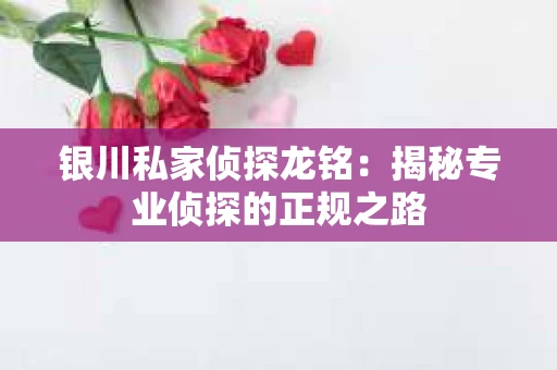 银川私家侦探龙铭：揭秘专业侦探的正规之路