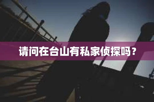请问在台山有私家侦探吗？