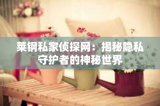 莱钢私家侦探网：揭秘隐私守护者的神秘世界