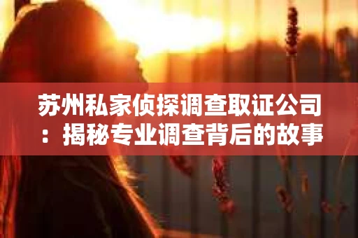 苏州私家侦探调查取证公司：揭秘专业调查背后的故事
