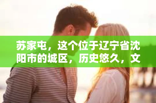 苏家屯，这个位于辽宁省沈阳市的城区，历史悠久，文化底蕴深厚。近年来，随着社会的发展，人们对于私家侦探的需求也逐渐增加。那么，苏家屯有私家侦探吗？今天，我们就来聊聊这个话题。