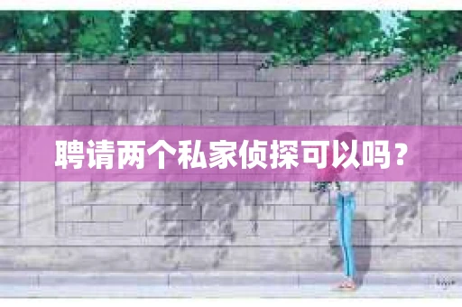 聘请两个私家侦探可以吗？