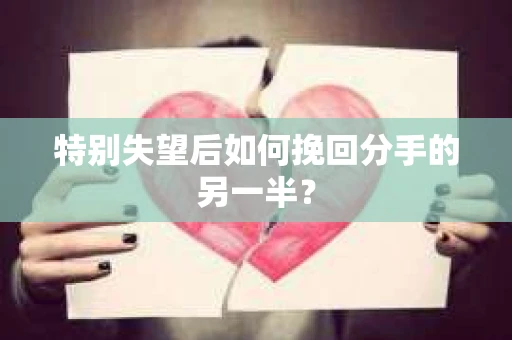 特别失望后如何挽回分手的另一半？