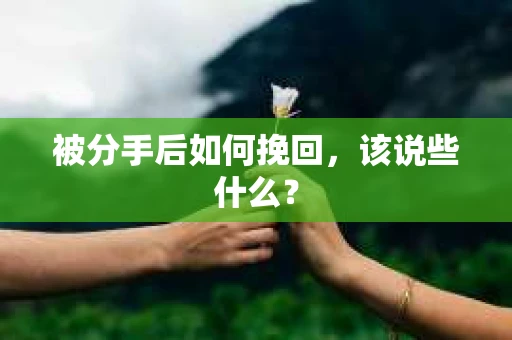 被分手后如何挽回，该说些什么？