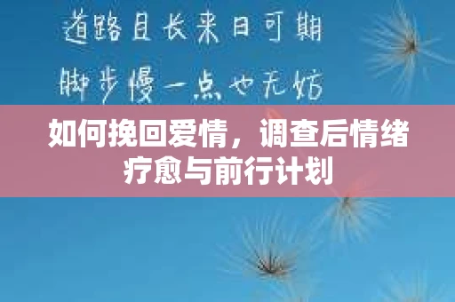 如何挽回爱情,调查后情绪疗愈与前行计划 如何挽回爱情,调查后情绪疗愈与前行计划