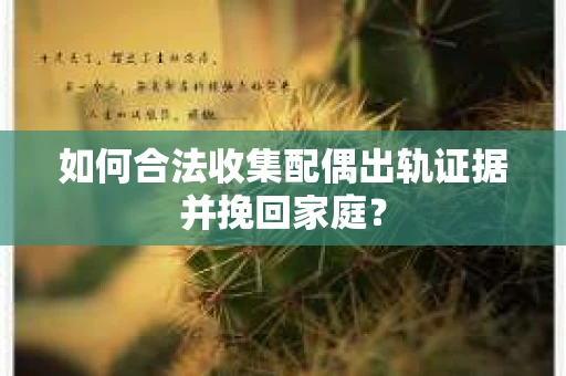 如何合法收集配偶出轨证据并挽回家庭？