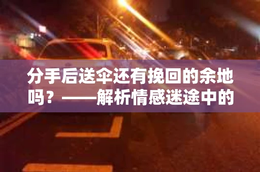 分手后送伞还有挽回的余地吗？——解析情感迷途中的决策