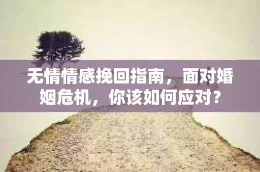 无情情感挽回指南，面对婚姻危机，你该如何应对？