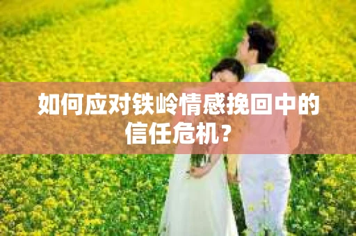 如何应对铁岭情感挽回中的信任危机？