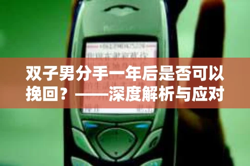 双子男分手一年后是否可以挽回？——深度解析与应对策略